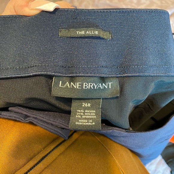 Lane Bryant womens pants size 26 (82) - Picture 3 of 6